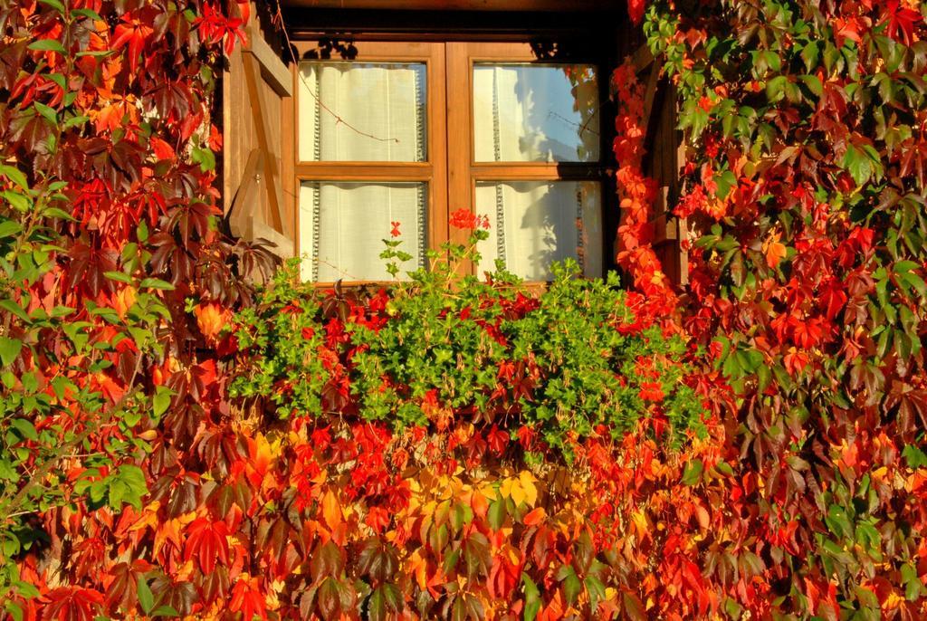 Hotel Selba D'Ansils Benasque Εξωτερικό φωτογραφία